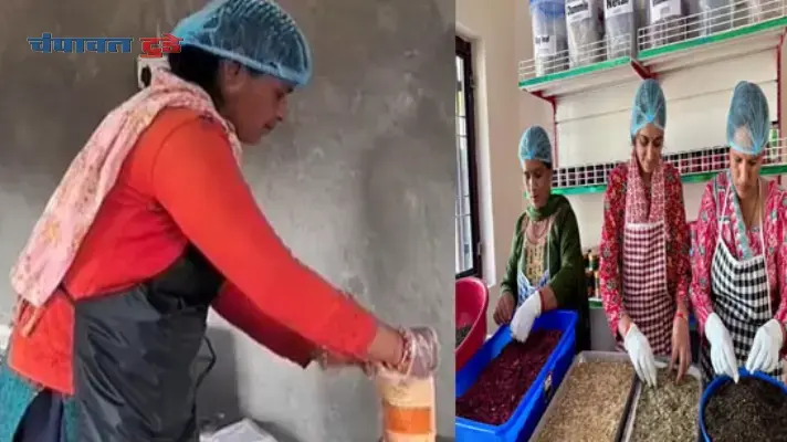 travel-xl_2