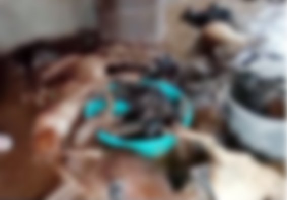 बारिश का कहरः टनकपुर में गौशाले के अंदर घुसा पानी! 18 बकरियों की तड़प-तड़प कर हुई मौत, सदमे में परिवार